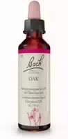 Bachblüten Original Pine Nr 24 20 ml Tropfen