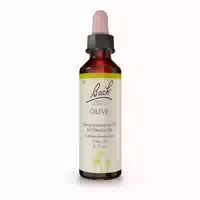 Bachblüten Original Olive Nr 23 20 ml Tropfen
