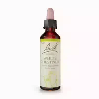 Bachblüten Original 35 White Chestnut Tr 10 Ml