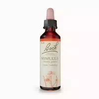 Bachblüten Original Mimulus Nr 20 20 Ml Tropfen