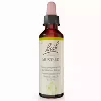 Bachblüten Original Mustard Nr 21 20 ml Tropfen