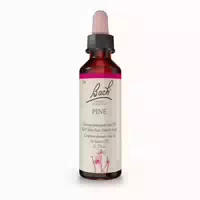 Bachblüten Original Pine Nr 24 20 Ml Tropfen