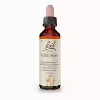 Bachblüten Rock Rose Tropfen 20 Ml