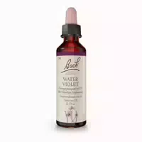 Bach Blüte Water Violet Sumpfwasserfeder