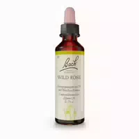 Bachblüten Wild Rose Tropfen 20 Ml