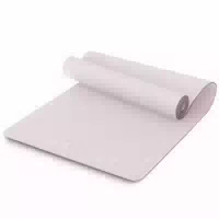 Neolymp Yogamatte