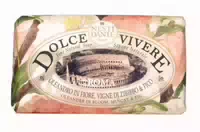 Nesti Dante Dolce Roma Showergel 300 ml