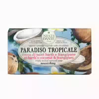 Nesti Dante Tropic st Barth Coconut & Frangipani 250 g