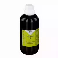 Lycopus H Nr 170 Tropfen 100 ml Tropfen