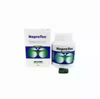 Neprotec Phase 1 Kapseln 90 Stück