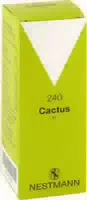 Cactus H 240 Tropfen 100 Ml Tropfen