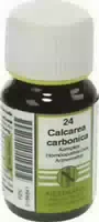 Calcarea Carabonica Nestamann Nr 24 120 St Tabletten