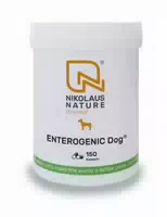 Nikolaus Nature Enterogenic Dog