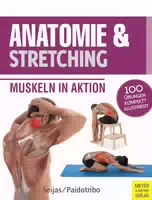 Lauftraining die Anatomie Verstehen