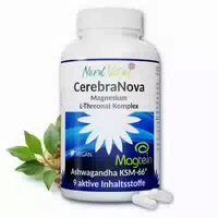 Cerebra Nova Magtein & Ashwagandha Komplex