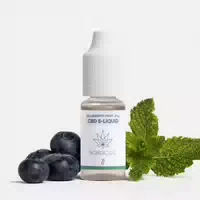 Cbd E Liquid Wassermelone & Minze