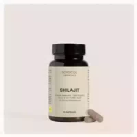 Shilajit Kapseln 60 st