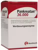Pankreatan 36 000 100 Magensaftresistente Kapseln