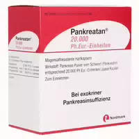Pankreatan 20 000 Ph Eur Einheiten Msr 200 St