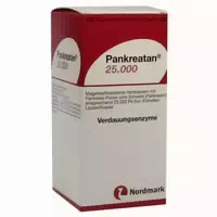 Pankreatan 25000 100 St Magensaftresistente Hartkapseln