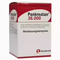 Pankreatan 36 000 Magensaftresistente Ha 100 st