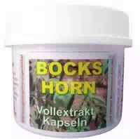 Bockshorn Vollextrakt 600 mg Kapseln