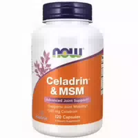 Now Foods Celadrin & Msm 500 mg