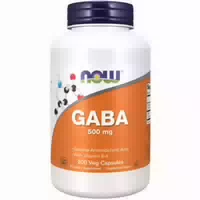 Now Foods Gaba mit Vitamin B6 500 mg