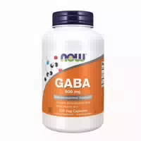 Now Foods Gaba mit Vitamin B6 500 mg