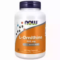 Now Foods, l Ornithine, 500mg