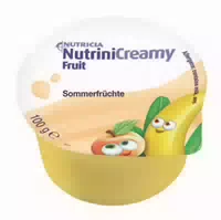 Nutrini Creamy Fruit Sommerfrüchte 48x100 G
