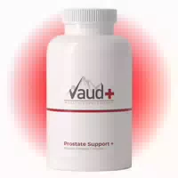 Vaud Prostate Support Sägepalme & Kürbiskerne Unterstützt Prostata & Harnwege 90 Kapseln 90 St