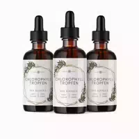 100 ml
