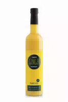 Obsthof Retter Bio Elixir Ginger