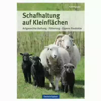 Schafhaltung Auf Kleinflächen