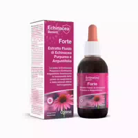 Echinacea Benefit Extrakt Fluid Forte 50 Ml