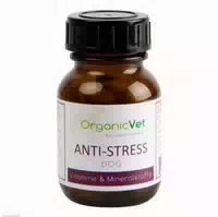 Anti Stress Hund Tabletten
