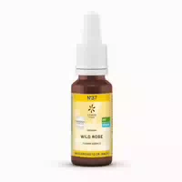 Bachblüten No 37 Wild Rose Bio 20 ml