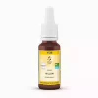 Bachblüten No 38 Willow Bio 20 ml