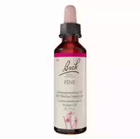 Bachblüten Original Pine Nr 24 20 Ml Tropfen