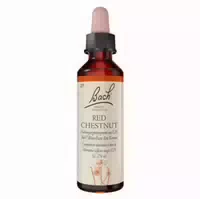 Bachblüten Original Red Chestnut Nr 25 20 Ml Tropfen
