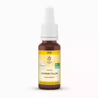 Bachblüten No 6 Cherry Plum Bio 20 ml