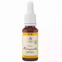 20 ml
