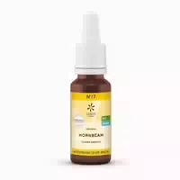 Bachblüten No 17 Hornbeam Bio 20 ml