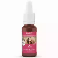 Original Bachblüten Tropfen Nr 40 Energie 20 ml Tropfen zum Einnehmen