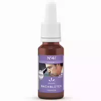 41 Focus Bachblüten Tropfen 20 ml Tropfen zum Einnehmen
