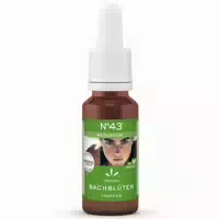 Lemon Pharma Bachblüten Tropfen N°43 Motivation 20 ml