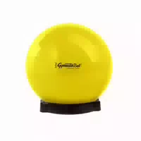 Original Pezzi Gymnastikball Standard m Ballschale U Pumpe