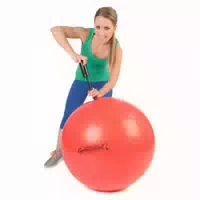 Original Pezzi Gymnastikball Standard mit Pumpe