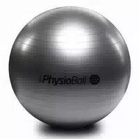 Original Pezzi Physioball Standard